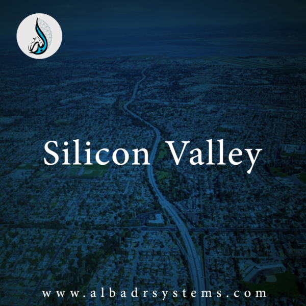 The Silicon Valley