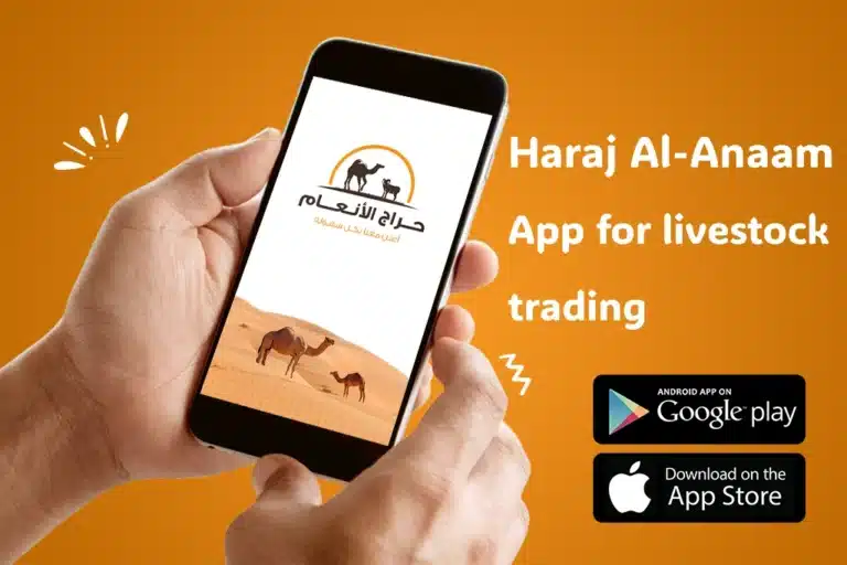 حراج الانعام