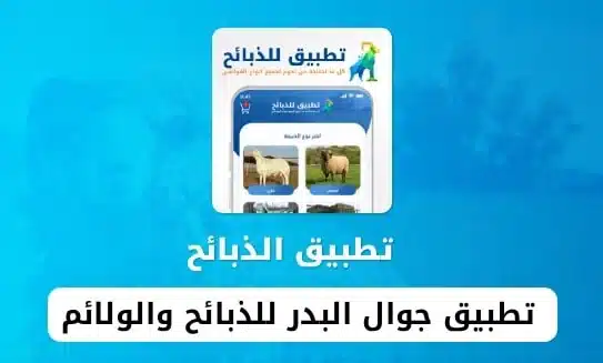 ناديب 2