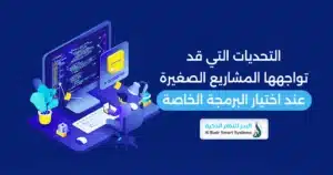 الحلول المخصصة