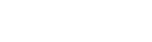 Asset 11